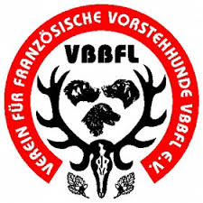 Logo VBBFL